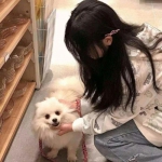 玄煌剑仙手机版下载